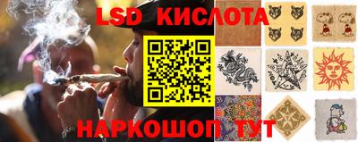 бошки Боровичи
