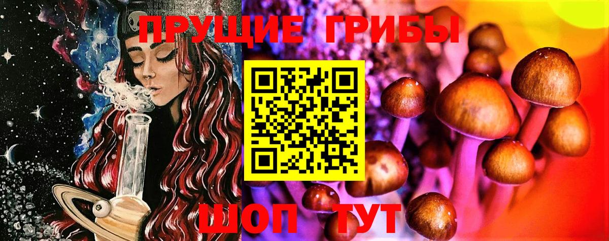 Псков  Галлюциногенные грибы мухоморы  Псилоцибиновые грибы мицелий  Вход с VPN 