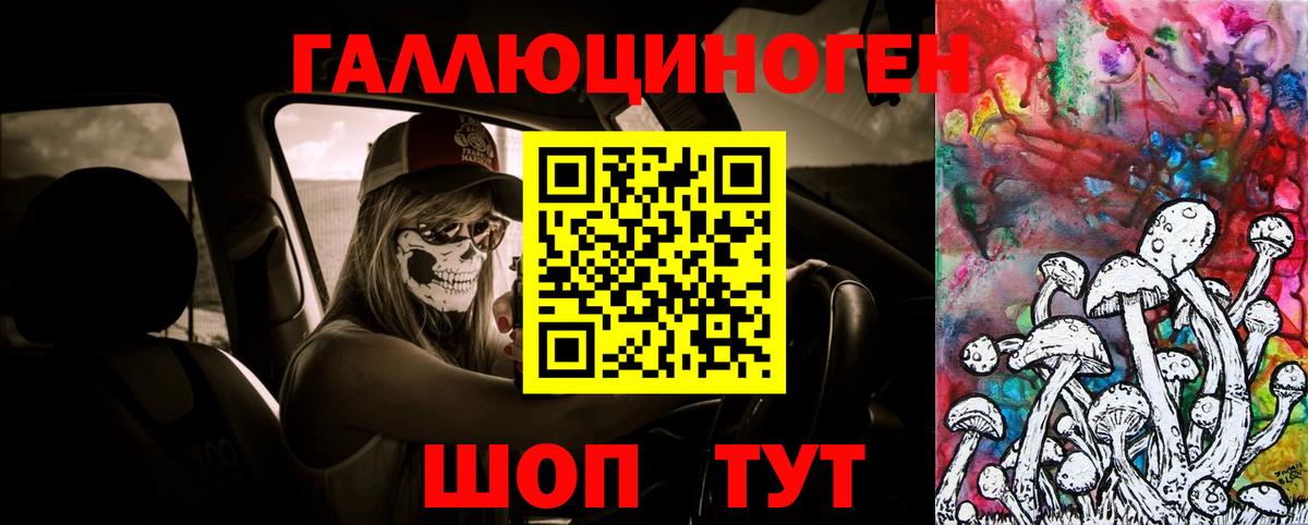 Галлюциногенные грибы мицелий Псков