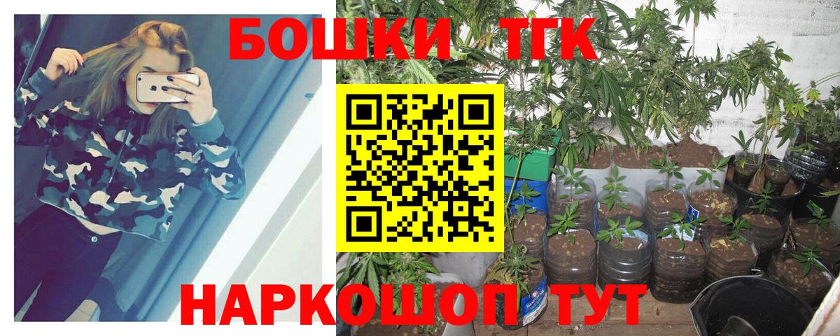 Бошки Шишки планчик Псков